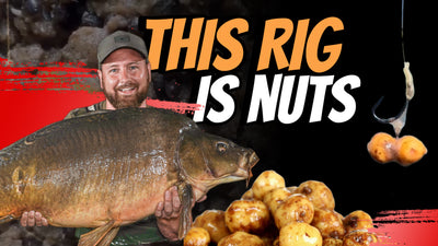 Questa esca e rig sono le noci assolute! | Mike Payne