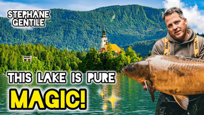 Enjoy Holiday Carp Fishing Magic At Lake Bled | Stéphane Gentile