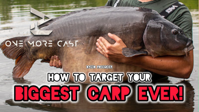 How To Consistently Catch Really BIG Carp | David Rosemeier