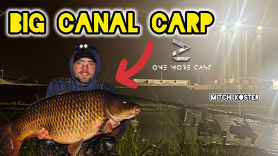 Canal Carp Fishing In Belgium | Mitch Koster