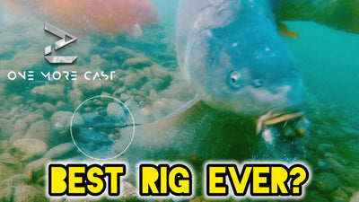 Have We Found The Best Carp Rig Ever?